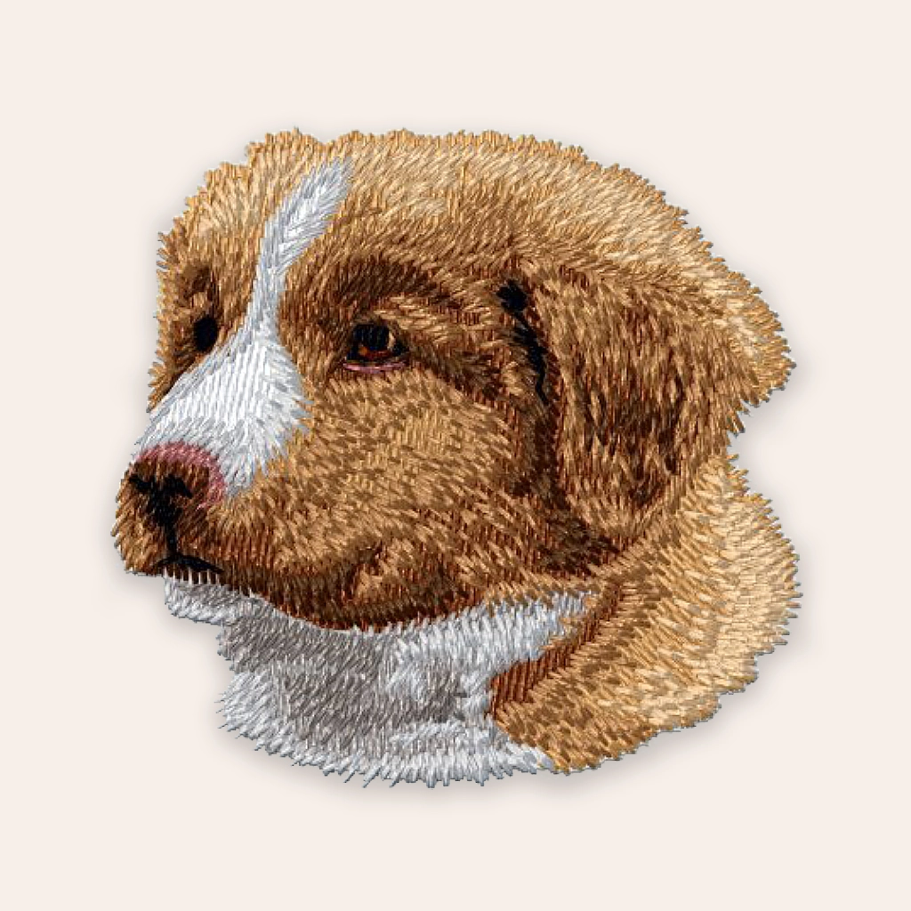 patch Nova Scotia Duck Tolling Retriever